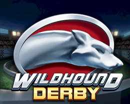 Wildhound Derby