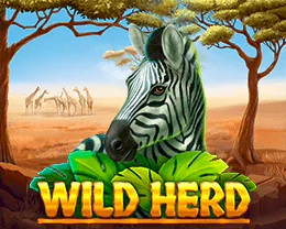 Wild Herd